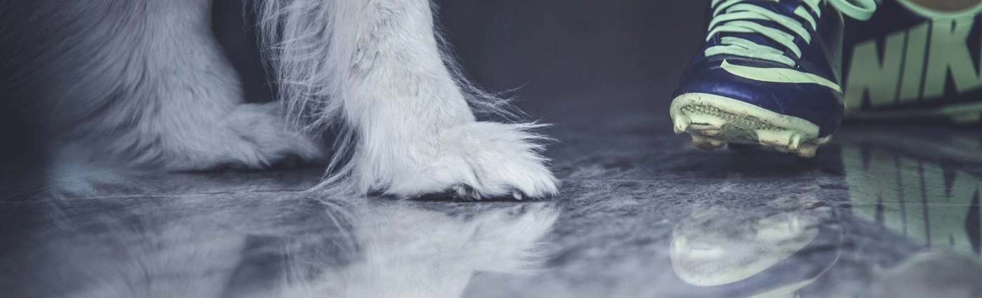 Pavimenti in Granito