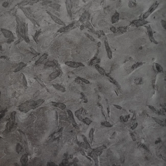 Matrix granite detail