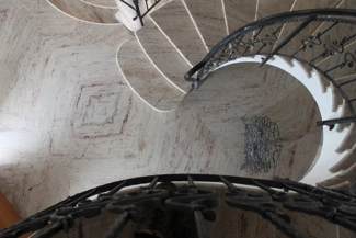 Ivory Brown Shivakashy