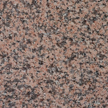 Rosa Porrino Rosa Porrino