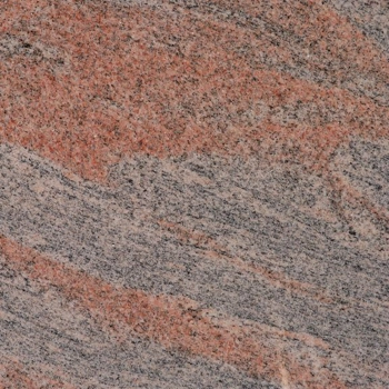 Rosy White Rosy White