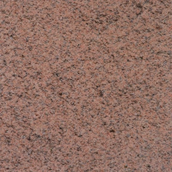 Salisbury Pink Salisbury Pink