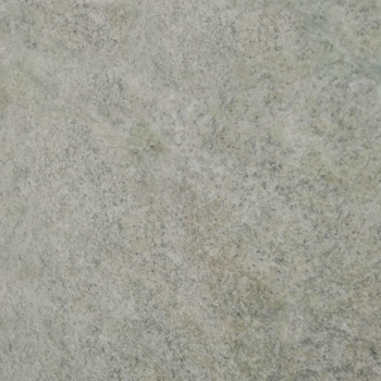 Coast Green Coast Green