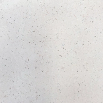 Trani Fiorito Trani Fiorito