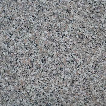 Rosa Gamma Rosa Gamma