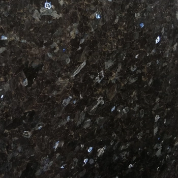 Labrador Scuro Labrador Scuro