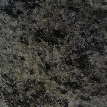 Olive Green Olive Green